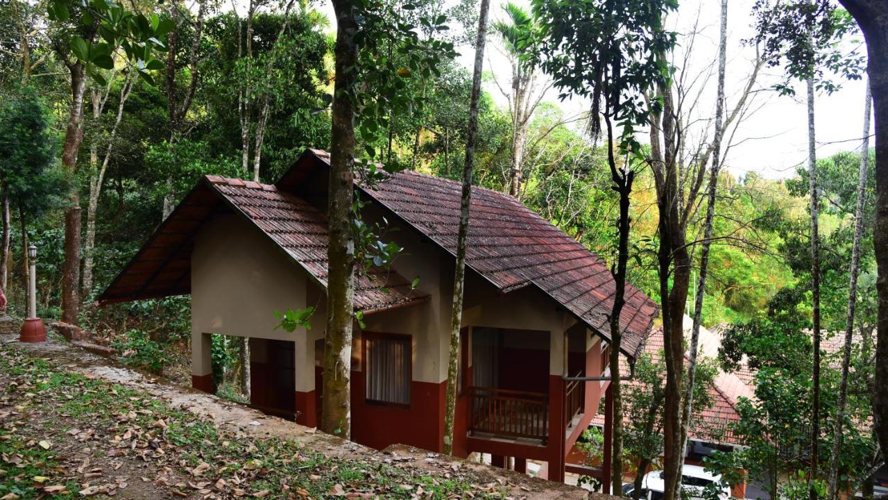 Terrace Resorts Ваянад Екстериор снимка